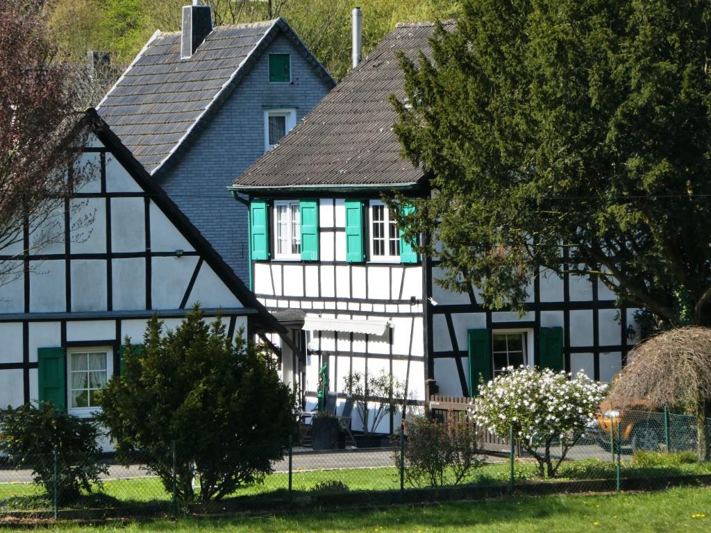 Friedrichsaue - 2020